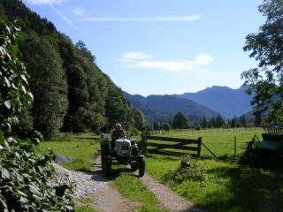 Feldweg am Waldrand mit Traktor
