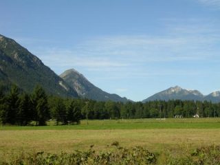 Talwiesen mit Bergkulisse